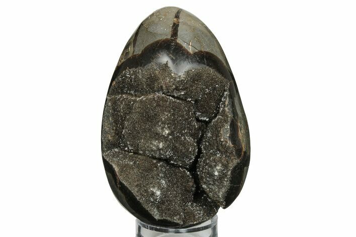 4.6" Septarian "Dragon Egg" Geode - Black Crystals